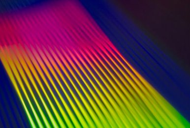 sâm lốc Debet